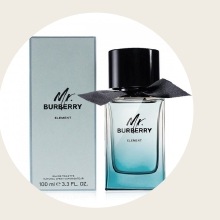 Mr Burberry Element
